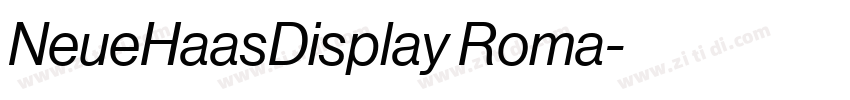 NeueHaasDisplay Roma字体转换